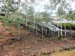 113 Buckhorn Rd, Cripple Creek, CO 80813