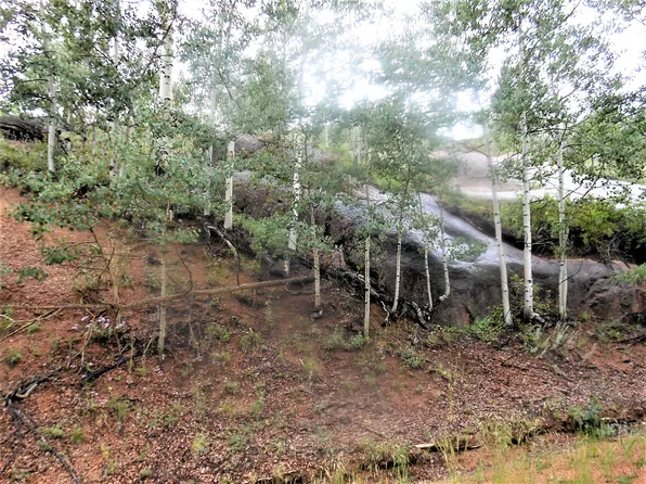 113 Buckhorn Rd, Cripple Creek, CO 80813