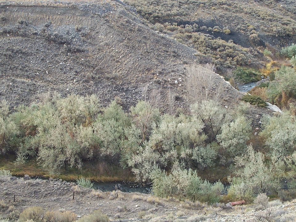 Creek Front