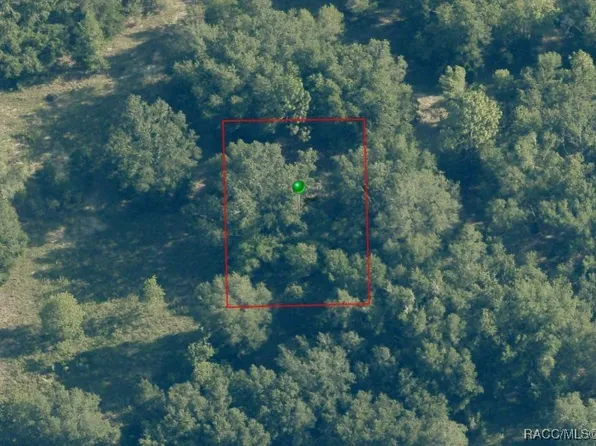 2405 Jefferson St, Inverness, FL 34453