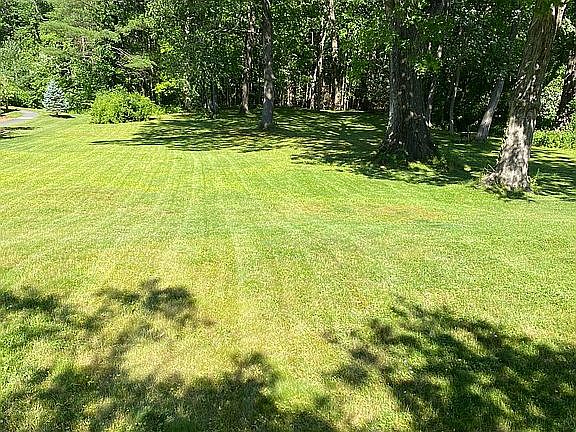 Large back yard