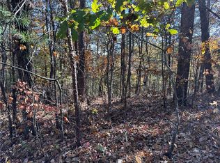 1686 Shade Tree Dr #1686, Talking Rock, GA 30175