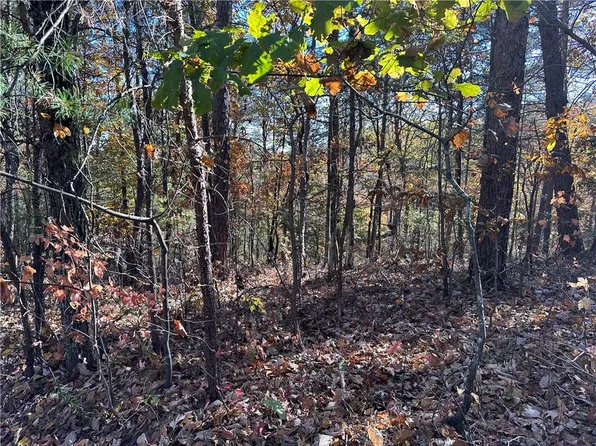 1686 Shade Tree Dr #1686, Talking Rock, GA 30175