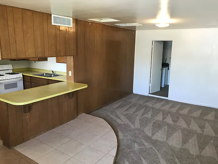 529 W 17th Pl — Photo 8
