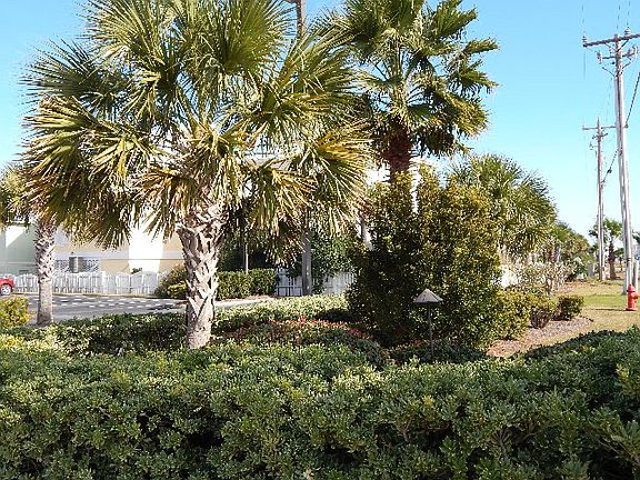 Landscaping