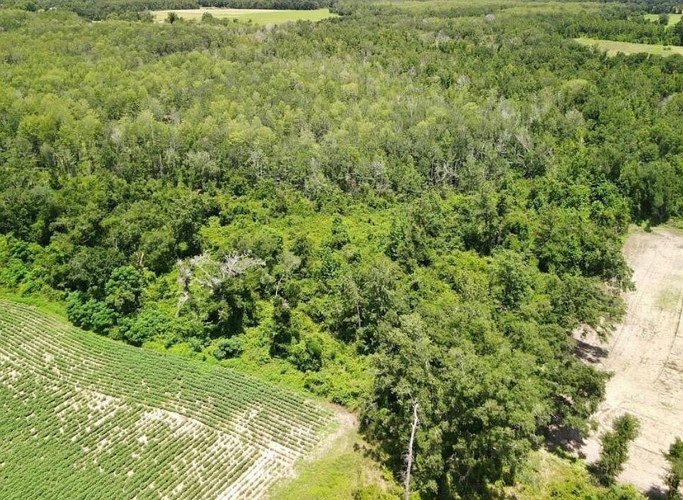 2nd image of 0 Peanut Rd