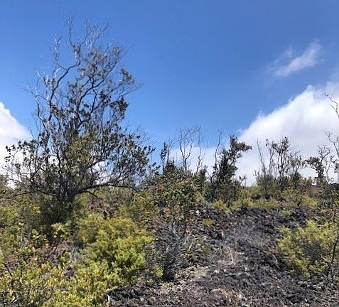3rd image of 92-2523 Mahimahi Dr Lot 32