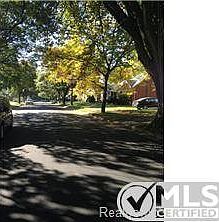 QUIET TREE-LINED NEIGHBORHOOD