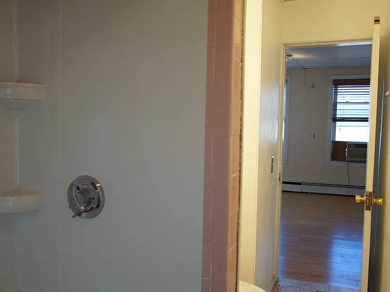 48 America St #2R — Photo 14