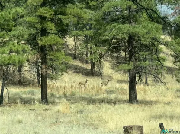 20 Nuee Ardente Rd, Grants, NM 87020