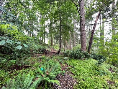 Videra Dr, Eugene, OR, 97405
