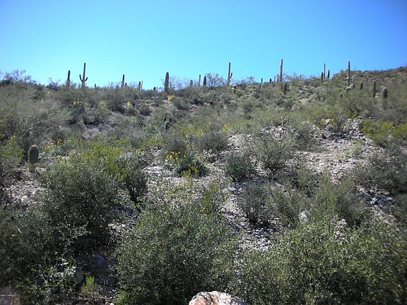 2nd image of 3598 W Starr Pass Estates Ct