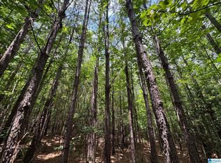 0 Highway 63, Goodwater, AL 35072