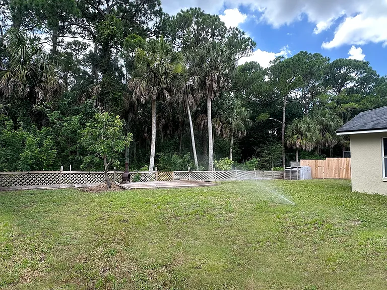 Backyard