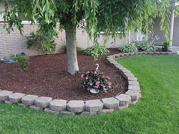 Landscape in the front