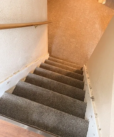 New carpet photo