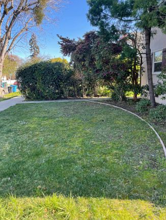 Front Lawn, view from unit window