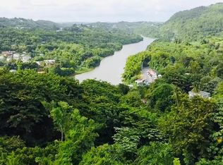 Carr #167, Bayamon, PR 00956