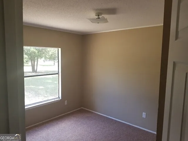 443 Witherington Cir — Photo 4