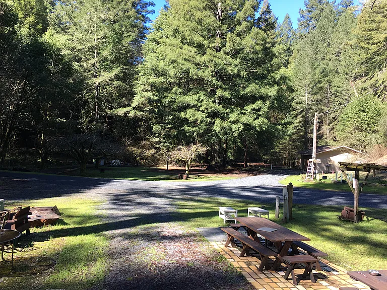 Fire pit, picnic tables, Apple orchard
