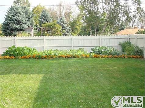 Vegetable garden.JPG