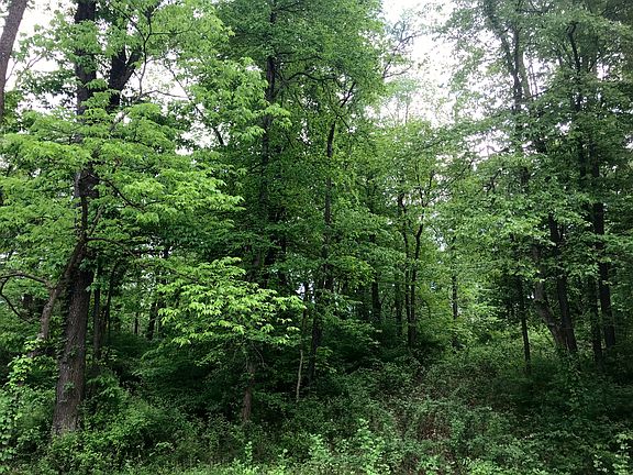 4th image of Chickadee Ct #C