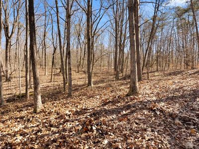LOT 1 Tanner Dr, Monterey, TN, 38574