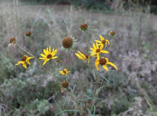 630 W Choctaw Ave, Haworth, OK 74740