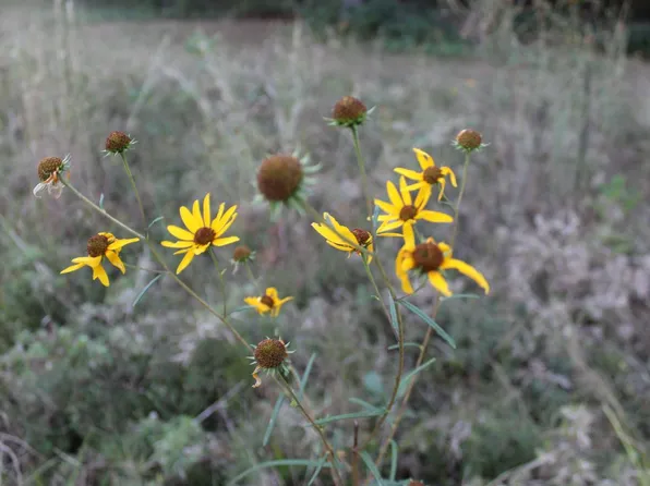 630 W Choctaw Ave, Haworth, OK 74740