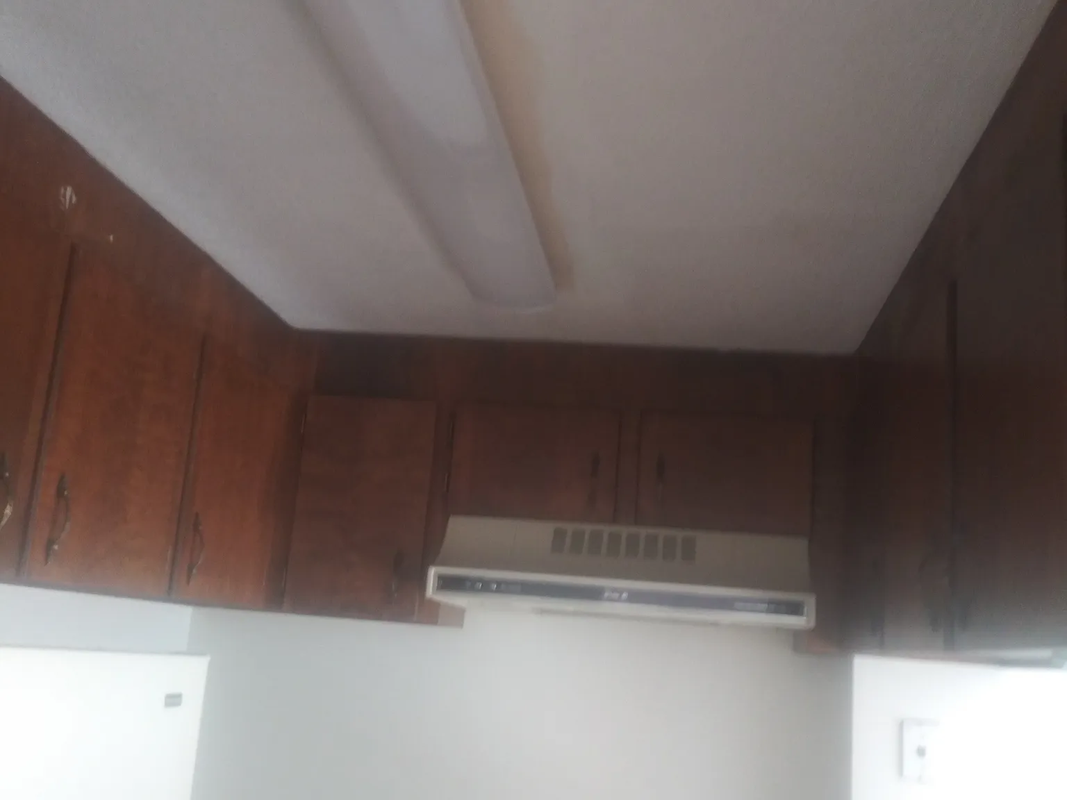 1 bed, 319 sqft, $1,200 — Photo 2