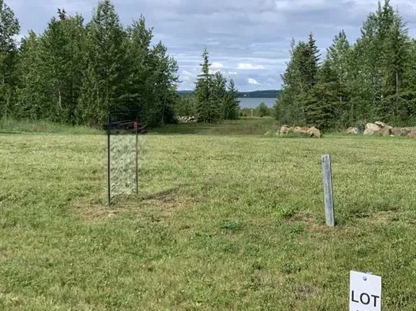 681 Springside Cres, Ponoka County, AB T0C 2J0