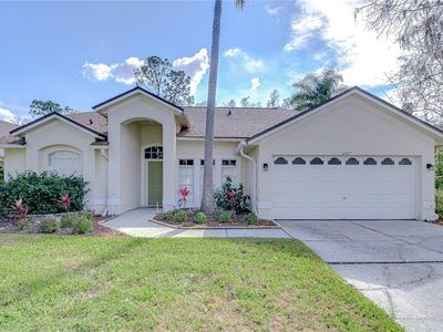 6427 Weatherwood Cir, Wesley Chapel, FL, 33545