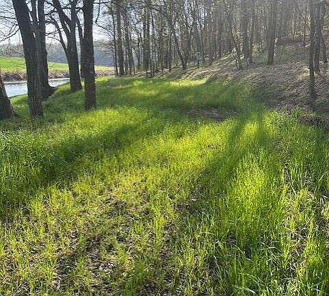 4th image of 1633 Poplar Springs Rd