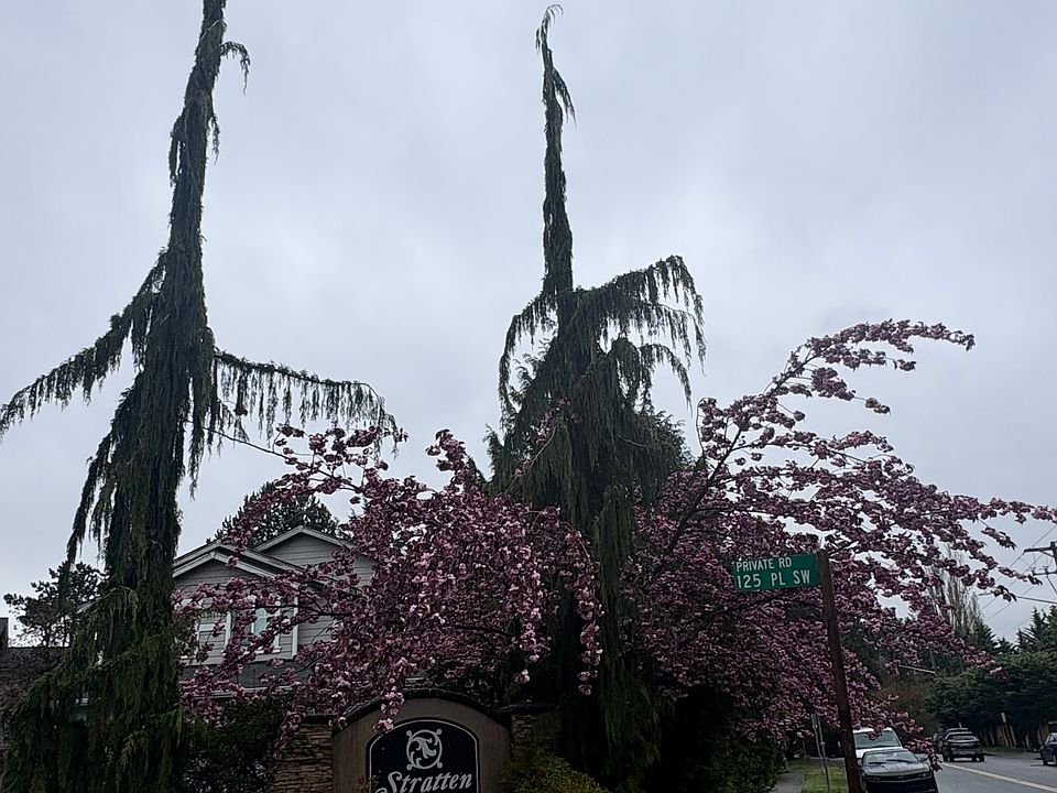 2nd image of 1228 125th Pl SW