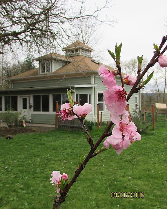 1620 River Loop 1, Eugene OR