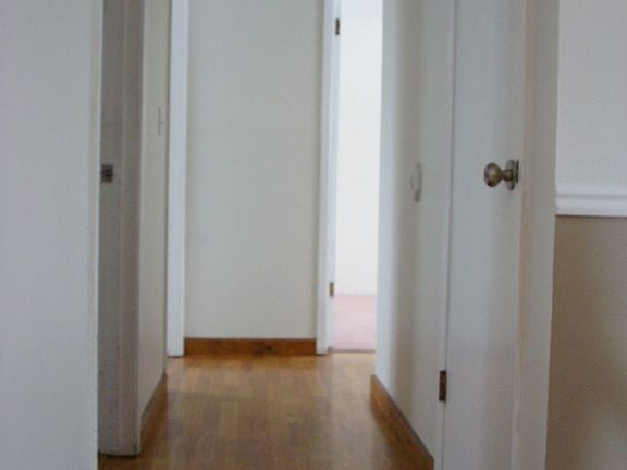 The laminate wood floor goes down the hall, and the bedrooms are carpeted.