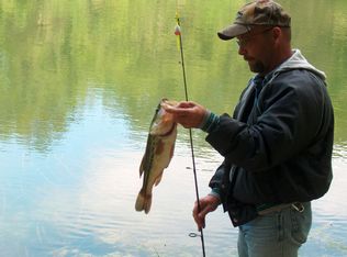 2314 Rr 2, Thayer, MO 65791