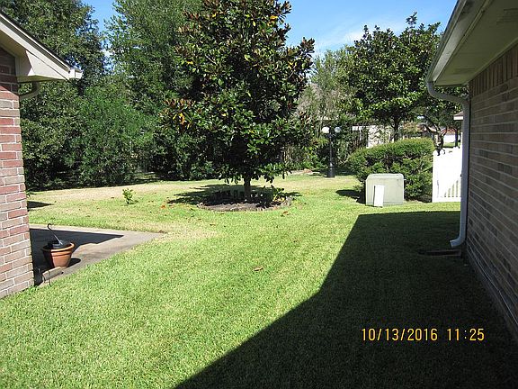 Rear and Side Yard