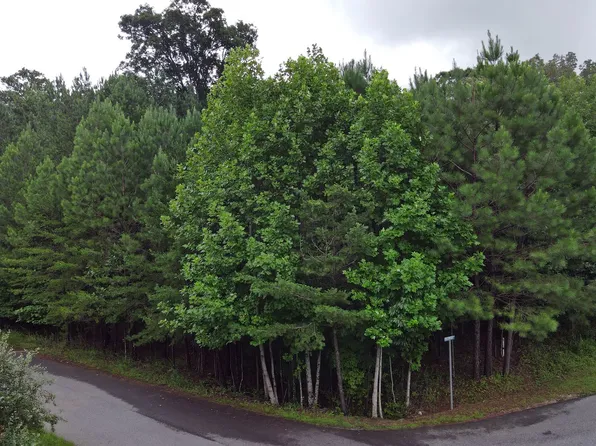 39 Crestwood Vw, Blairsville, GA 30512