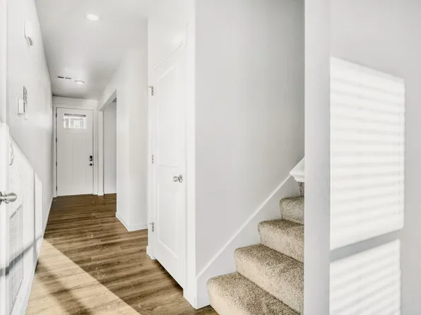 5961 Holstein Dr, Windsor, CO 80528