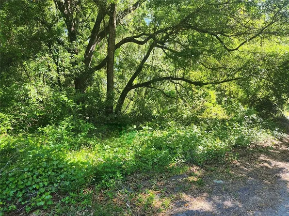 SE 147th Ln Lot 49, Summerfield, FL 34491