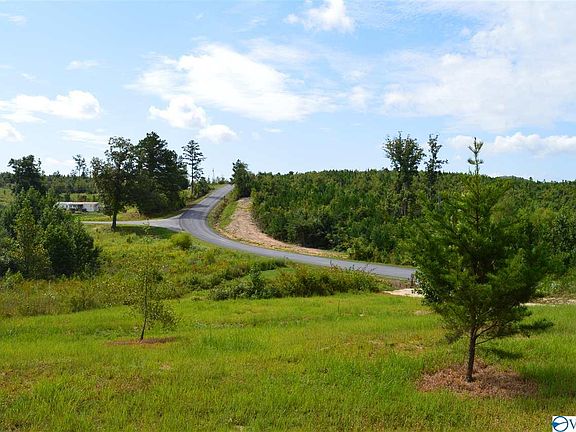 2nd image of 2602 County Road 89