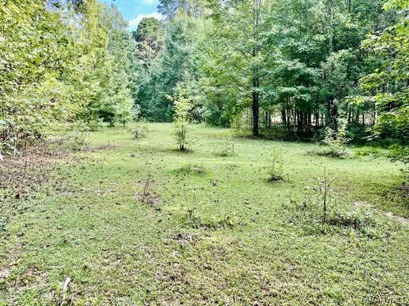 1 Mount Hebron Rd, Eclectic, AL 36024
