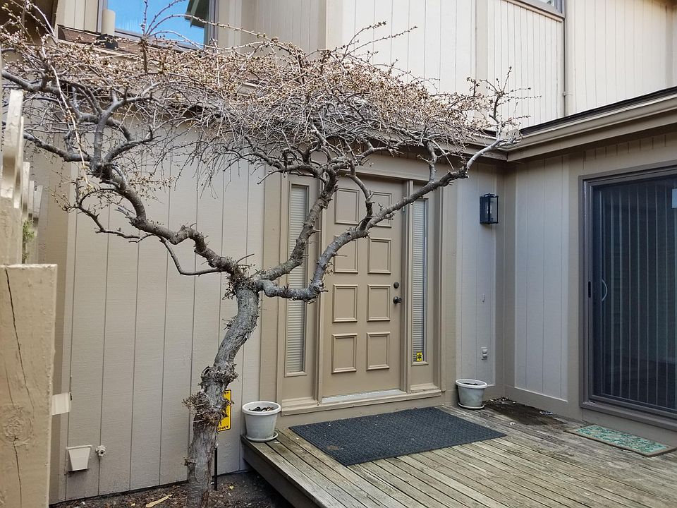 1st image of 5252 Wright Way E #1