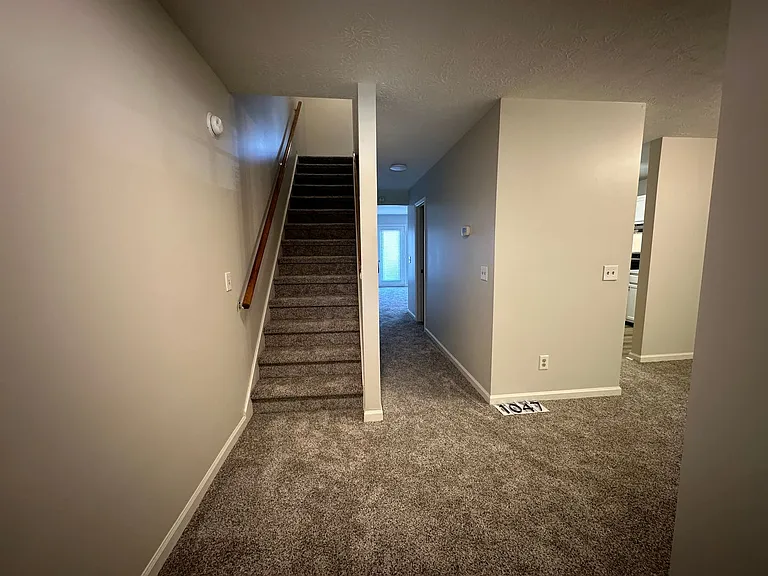 1047 Blue Ridge Dr — Photo 11