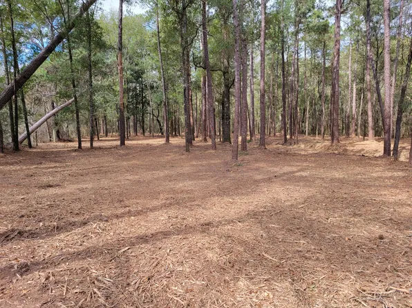 14/AC Gartman Rd, Laurel Hill, FL 32567