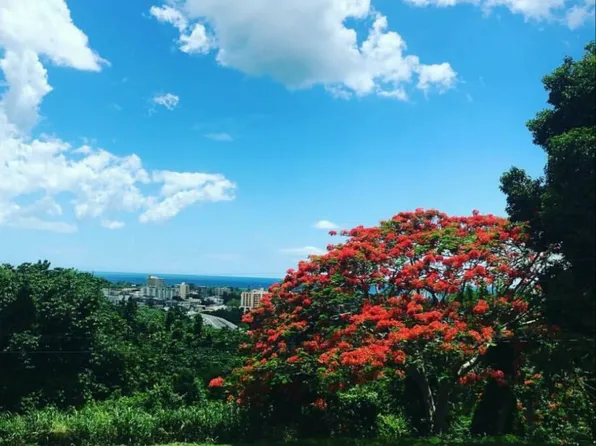 Km .6 Carr 106 Interior Camino Clinica Espanola, Mayaguez, PR 00680