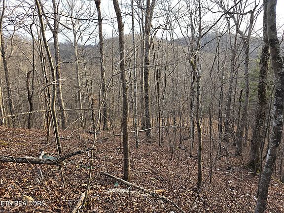 5th image of Old Us Highway 27 Mountain View Rd