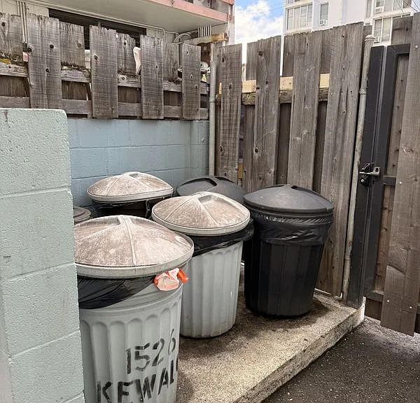 1526 Kewalo St #9 — Photo 16