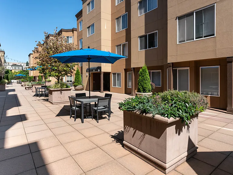 Courtyard and Grilling Area